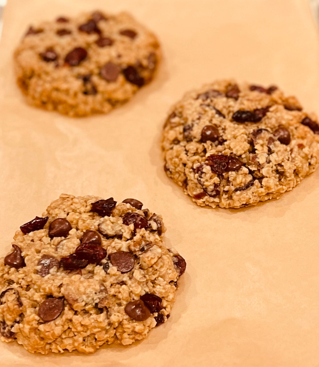 Oatmeal Cranberry Dark Chocolate Pecan Cookie (1 Dozen)